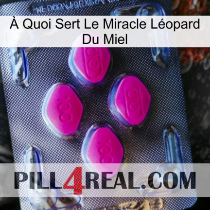 À Quoi Sert Le Miracle Léopard Du Miel 02